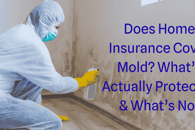 Does Home Insurance Cover Mold? What’s Actually Protected & What’s Not