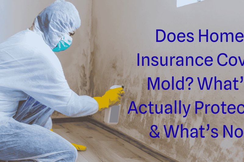 Does Home Insurance Cover Mold? What’s Actually Protected & What’s Not