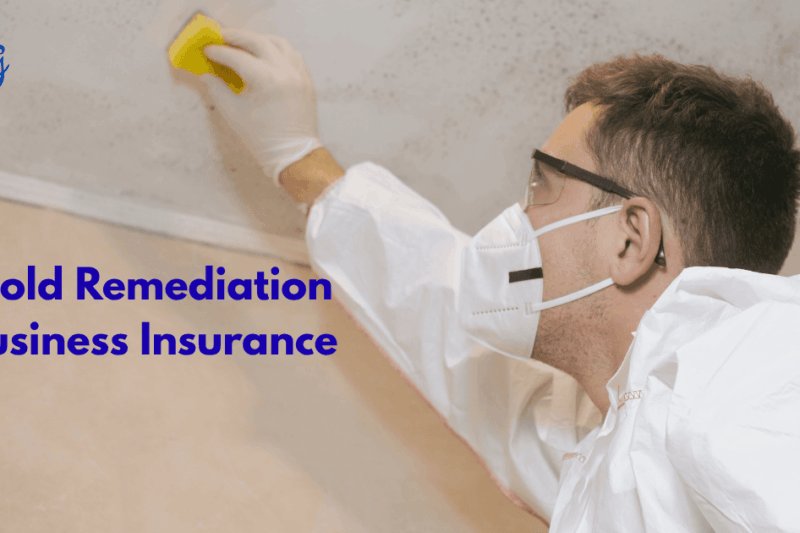 Mold Remediation Business Insurance: What It Covers and Why You Need It